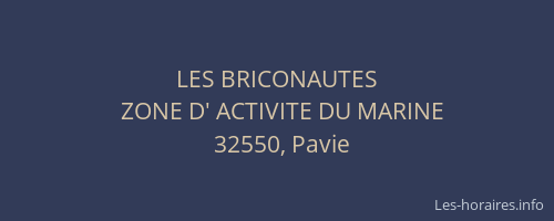 LES BRICONAUTES