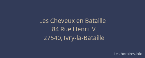 Les Cheveux en Bataille