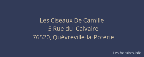 Les Ciseaux De Camille