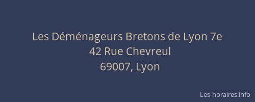 Les Déménageurs Bretons de Lyon 7e