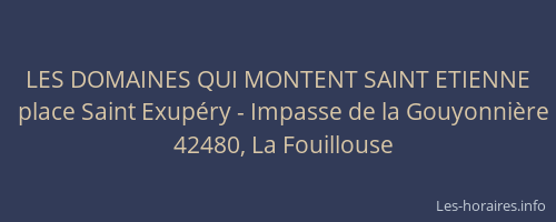 LES DOMAINES QUI MONTENT SAINT ETIENNE