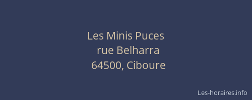 Les Minis Puces
