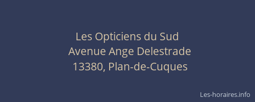 Les Opticiens du Sud