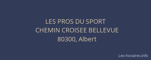 LES PROS DU SPORT