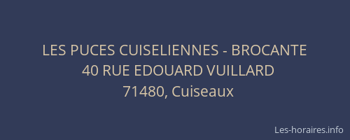 LES PUCES CUISELIENNES - BROCANTE