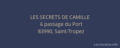 LES SECRETS DE CAMILLE