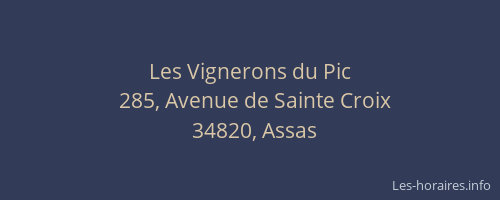 Les Vignerons du Pic