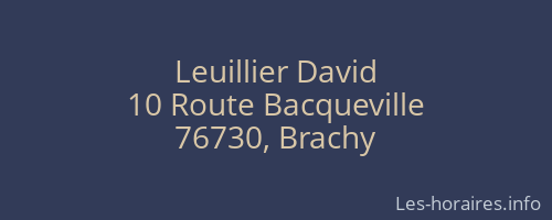 Leuillier David