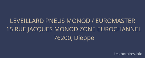 LEVEILLARD PNEUS MONOD / EUROMASTER