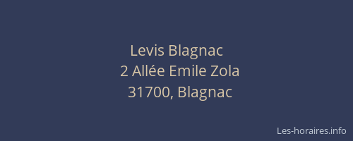 Levis Blagnac