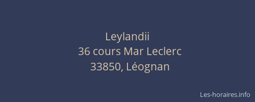 Leylandii