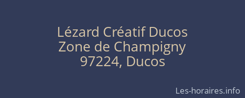 Lézard Créatif Ducos