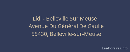 Lidl - Belleville Sur Meuse