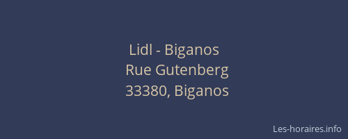 Lidl - Biganos