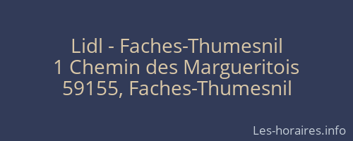 Lidl - Faches-Thumesnil