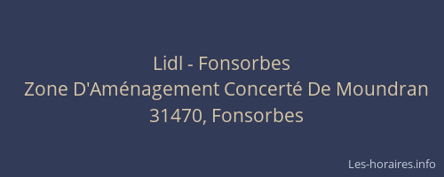 Lidl - Fonsorbes