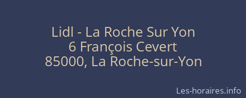 Lidl - La Roche Sur Yon