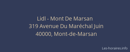 Lidl - Mont De Marsan