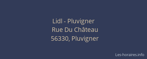 Lidl - Pluvigner