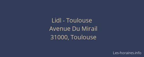 Lidl - Toulouse