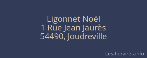 Ligonnet Noël