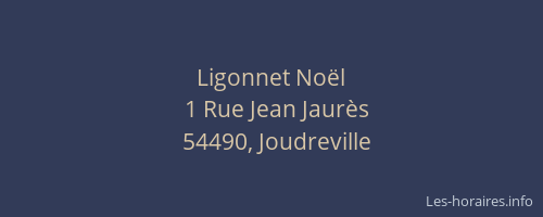 Ligonnet No&euml;l