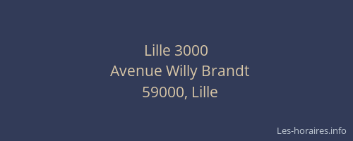Lille 3000