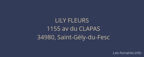 LILY FLEURS