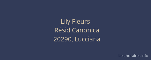 Lily Fleurs