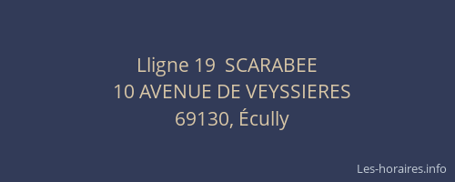 Lligne 19  SCARABEE