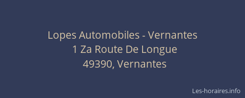 Lopes Automobiles - Vernantes