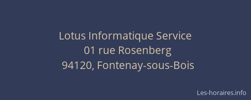 Lotus Informatique Service