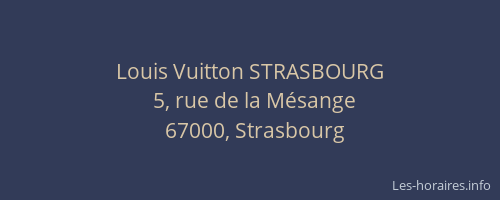 Louis Vuitton STRASBOURG