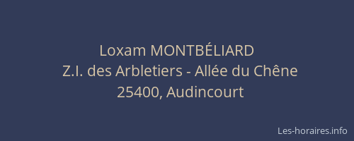 Loxam MONTB&Eacute;LIARD