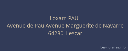 Loxam PAU
