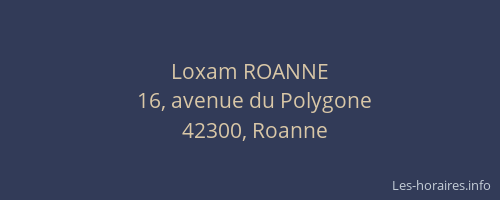 Loxam ROANNE