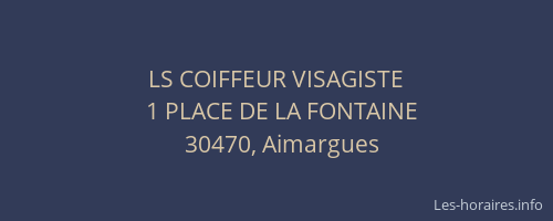 LS COIFFEUR VISAGISTE