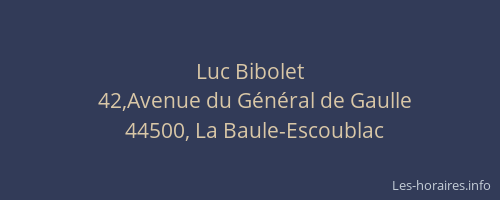 Luc Bibolet