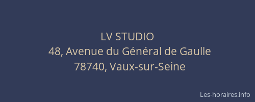 LV STUDIO