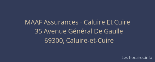MAAF Assurances - Caluire Et Cuire