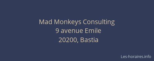 Mad Monkeys Consulting