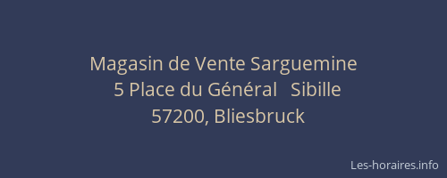 Magasin de Vente Sarguemine