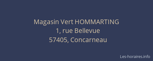 Magasin Vert HOMMARTING