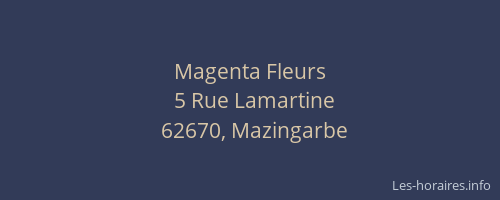 Magenta Fleurs