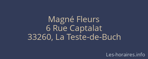 Magné Fleurs