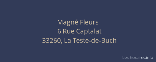 Magn&eacute; Fleurs
