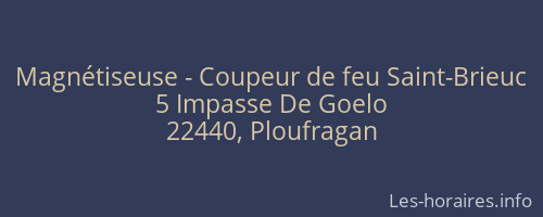 Magnétiseuse - Coupeur de feu Saint-Brieuc