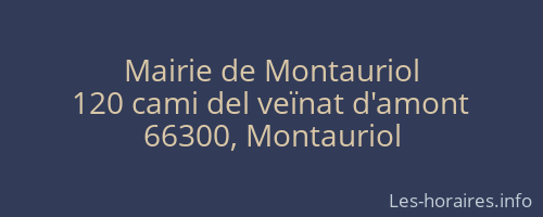 Mairie de Montauriol