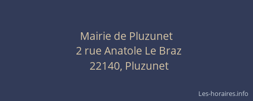 Mairie de Pluzunet