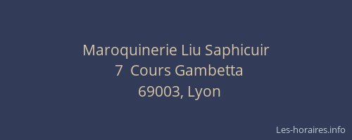 Maroquinerie Liu Saphicuir